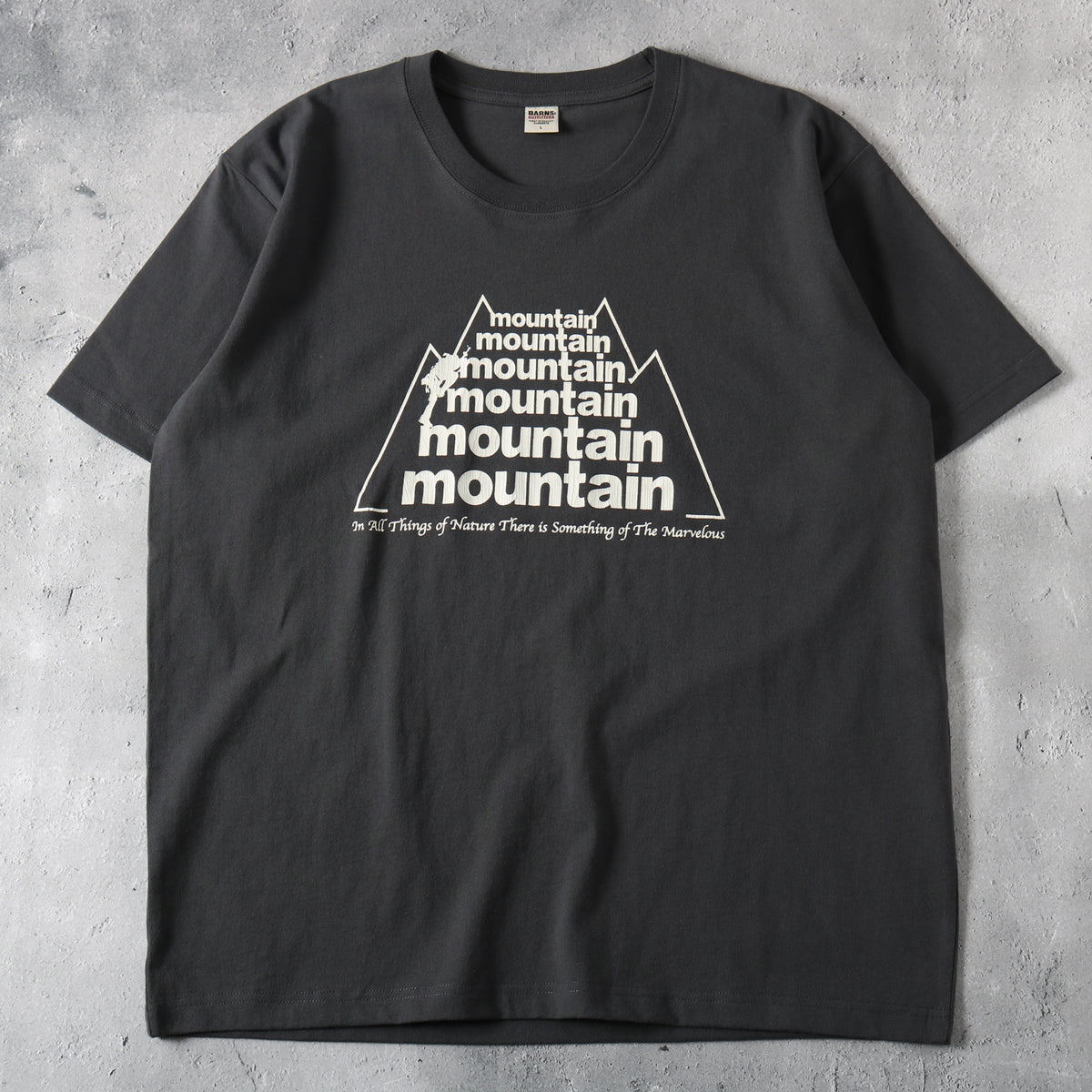 BRAHMAN 30周年 下北沢SHELTER 限定　Tシャツ　XXL SHELTER×TENGA LIVE T-Shirts | 下北沢SHELTER