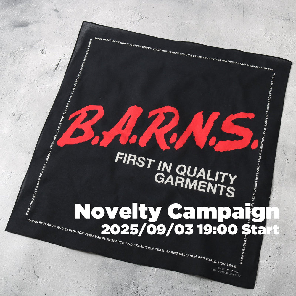 Novelty Campaign 2025