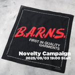 Novelty Campaign 2025
