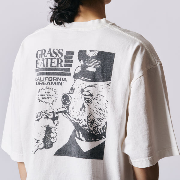 Pigment Dye】16/-BD 