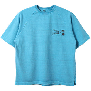 Pigment Dye】